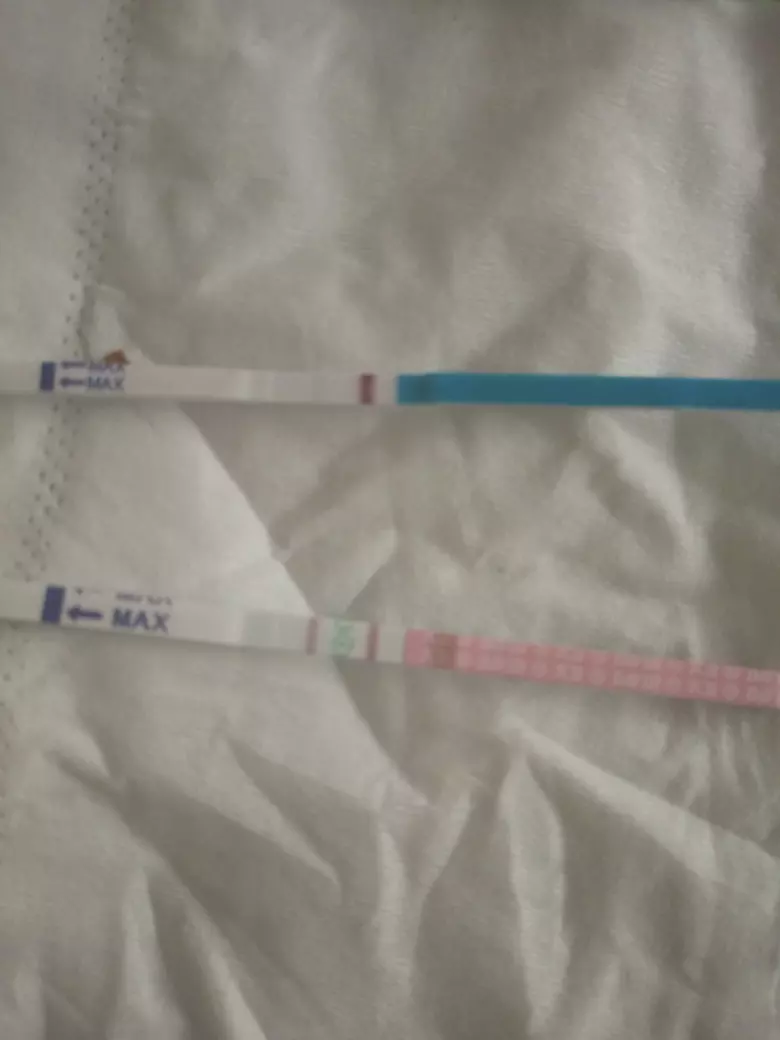 早早孕试纸能看出男孩女孩吗：怀男孩是不是比女孩晚测试出来