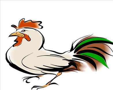 年属孩学什么专业好：女孩子学什么专业比较好，