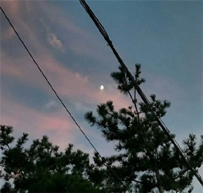 年旺财旺运的微信名：做生意的女人，用什么微信头像？