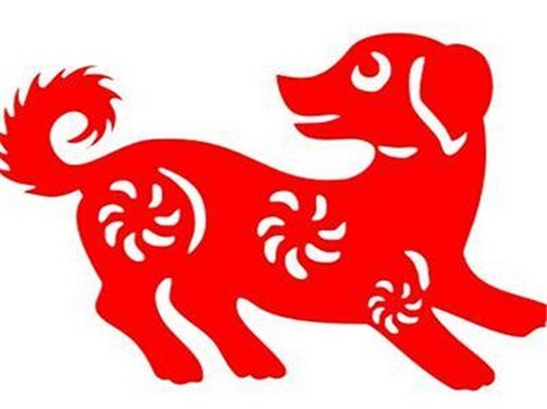 女狗和男鼠相配婚姻如何：狗和鼠相配婚姻如何