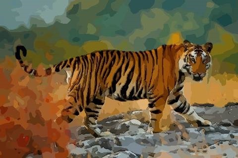 2023年生宝宝好吗：2023年适合生孩子的属相