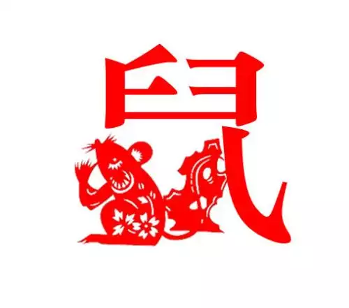 属鼠人一生的命运怎么样：属鼠的命运好不好