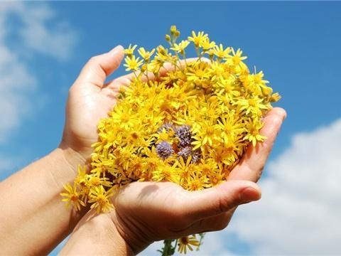 1、免费测两人有没有夫妻缘分:生辰八字合婚测两人有没有夫妻缘分，婚前男女合婚要