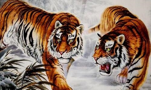 1、74年属虎人今年婚姻状况咋样:74年属虎的婚配