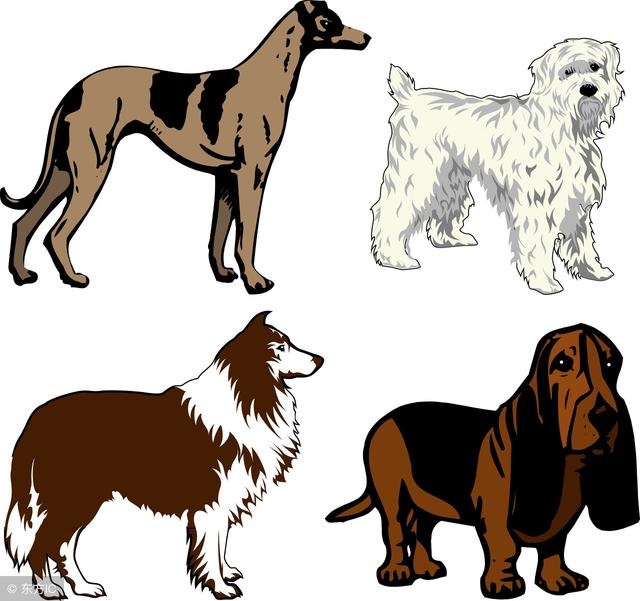 男女五行配婚歌诀,五行更佳婚配表