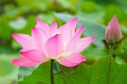 婚姻缘分是先天命定的吗，婚姻天注定半点不由人