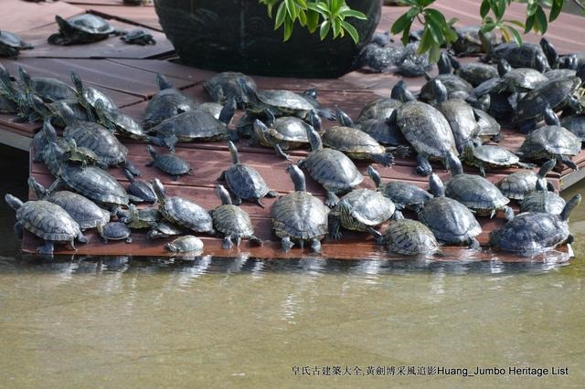 清嘉庆己卯年是哪一年，大清嘉庆六年是哪一年