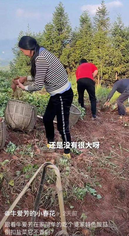 0年女跟95年男，生男生女的症状"