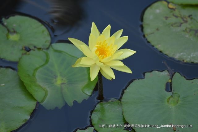 清嘉庆己卯年是哪一年，大清嘉庆六年是哪一年