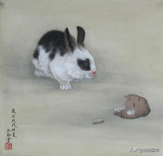 男鼠女兔能过一辈子吗，鼠兔相刑是谁生谁死