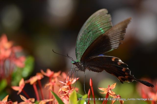 清嘉庆己卯年是哪一年，大清嘉庆六年是哪一年