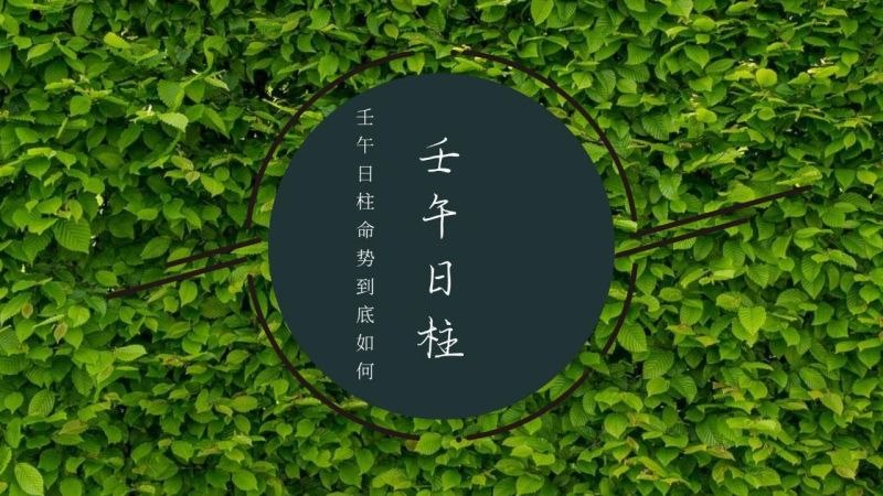 壬午日女命婚姻不顺，壬午日女命的一生