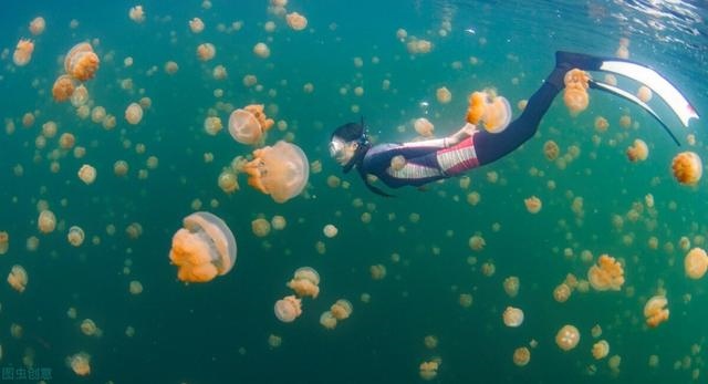 八字能看出会得精神病的人，八字测精神病