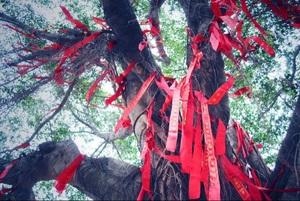 测婚姻什么卦更好，婚姻卦中的子孙