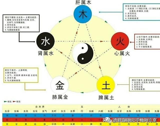 金木水火土49码查询表，2022 年金木水火土49号码排行榜