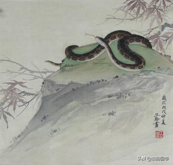 男鼠女兔能过一辈子吗，鼠兔相刑是谁生谁死