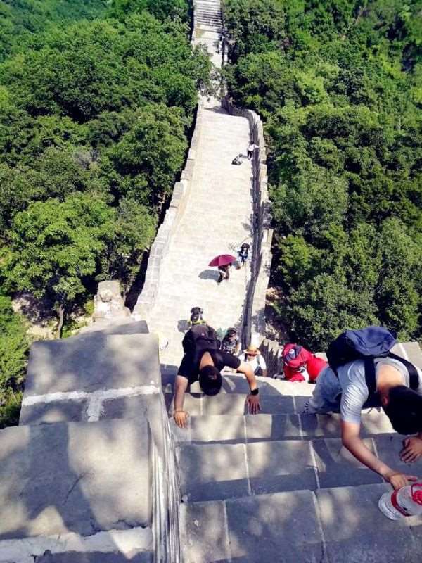 城墙上的土命什么意思，城墙土命的女孩好不好
