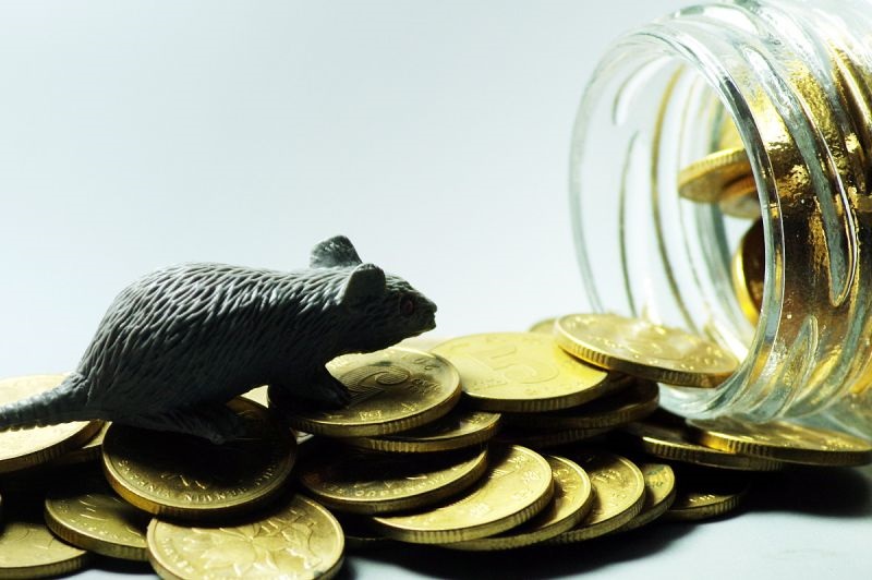 022赊刀人又出现最新预言,赊刀人预言死很多人"