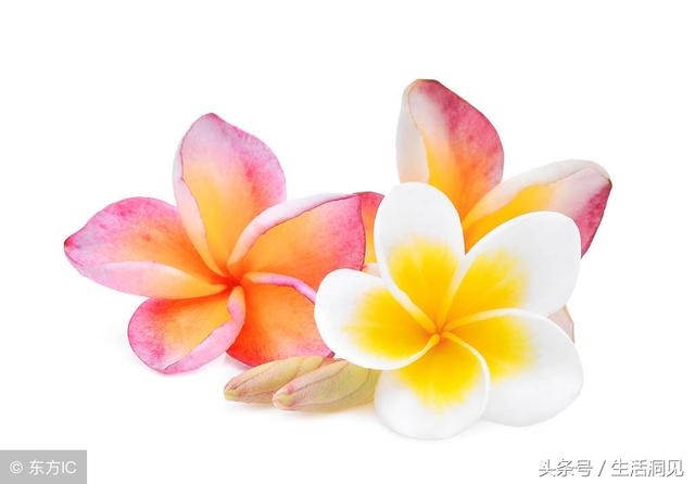 怎么看命好不好，怎么查自己的面相