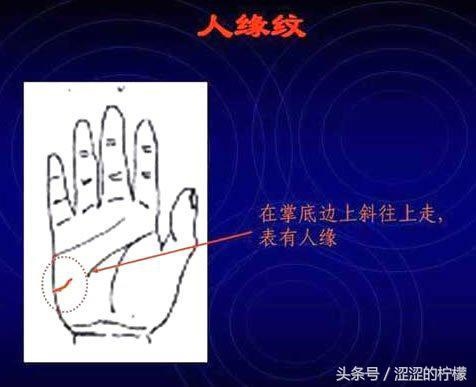 免费拍照看手相算命在线,AI测试手相