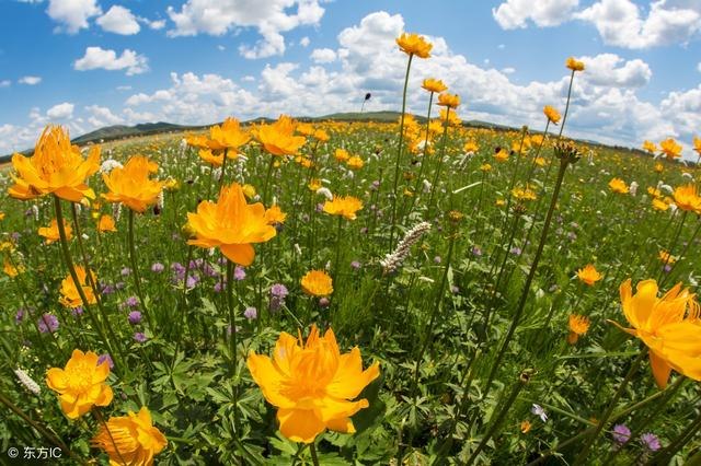 癸水七杀为最凶，紫微七杀在巳