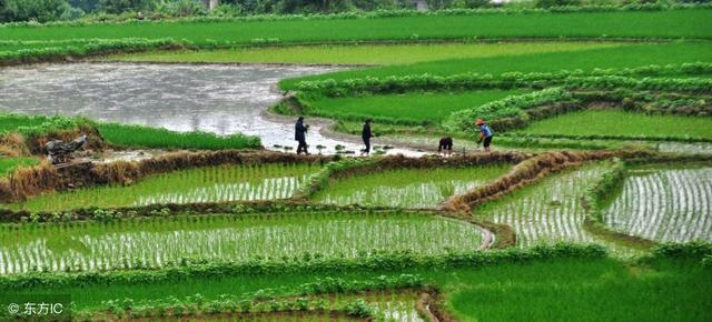 癸水七杀为最凶，紫微七杀在巳