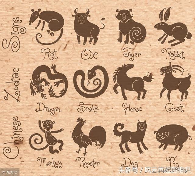 属兔出生时辰看命运，属兔哪个时辰出生更好