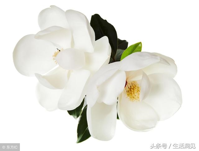 怎么看命好不好，怎么查自己的面相