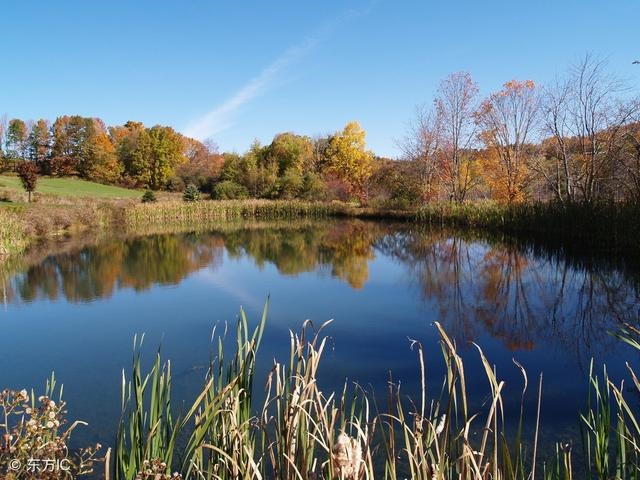 八卦顺口溜大全，八卦八个字怎么读