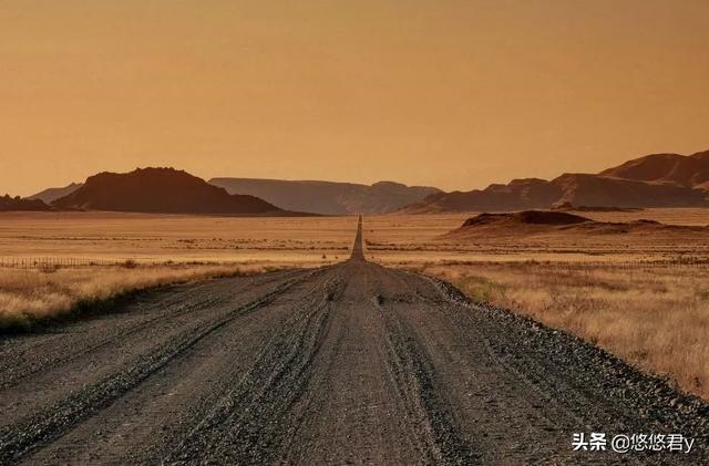 0属猴用微信头像招财，招财猴子微信头像图片"