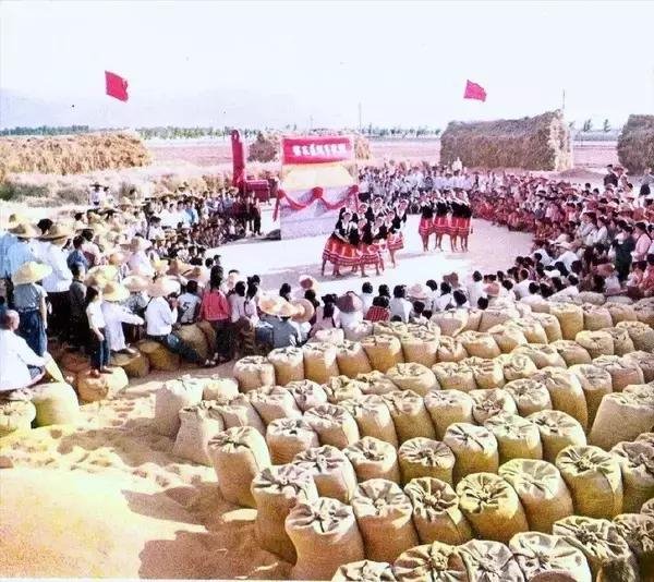 共和国甲寅年是哪一年，甲寅年是哪一年属什么