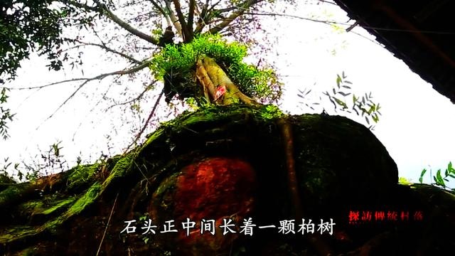 清朝戊子年是哪一年，民国戊子年是一九几年