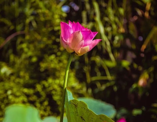 如何批八字更准确更好，最简单的批八字 ***