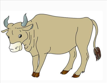 属牛的男孩几点出生更好命，属牛人什么时间出生更好