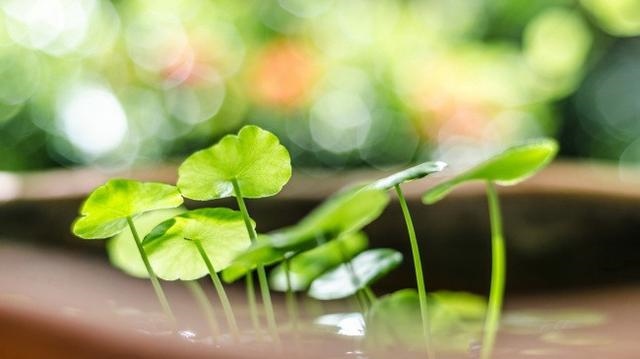 命中金水旺的女人,八字金水旺的女人漂亮