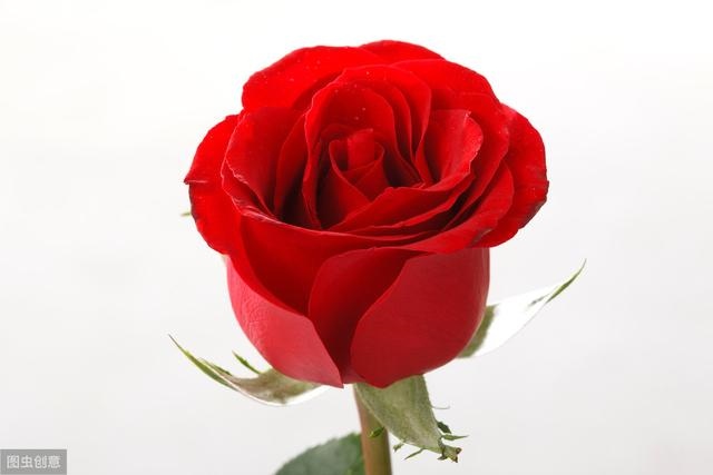 生日配对测试爱情，测两人有没有夫妻缘分