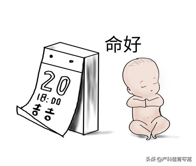 时辰出生的人命运，鸡人出生时辰命运