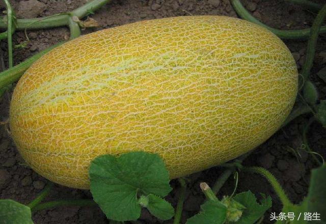 866年是否属下元，公元1866年是什么生肖年"