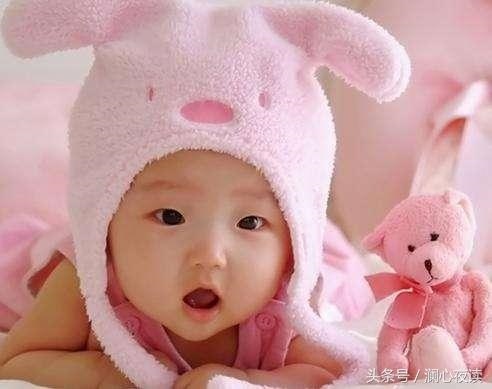 属猪的人命运好不好，猪年出生的人的命运