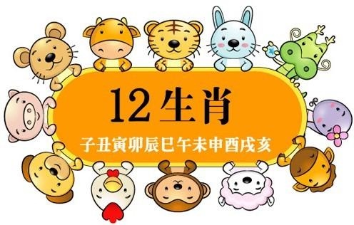 生肖兔2022 年可以要宝宝吗,马蛇生兔还是生龙好