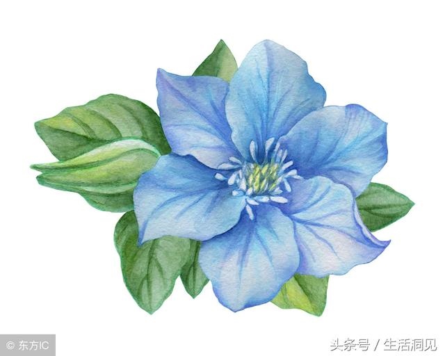 怎么看命好不好，怎么查自己的面相