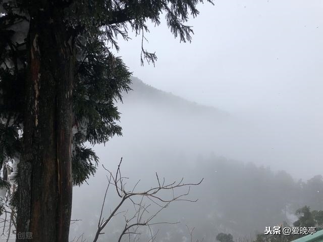 清嘉庆庚辰年是哪一年，庚辰是什么生肖