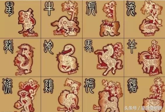 算自己五行属什么命,五行相生相克