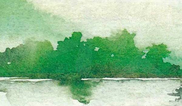 999年属兔的女生，1999年属兔的女孩婚姻"