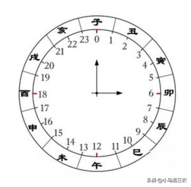 子时出生的男孩命运，为什么子时出生男孩好