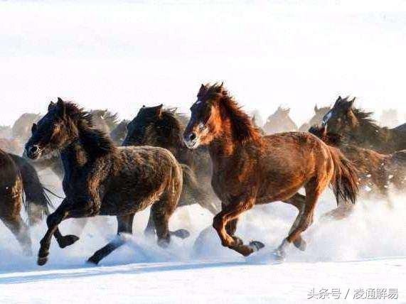 日坐驿马看配偶,日坐贵人配偶富贵