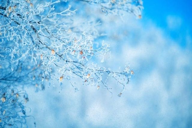 一个算命先生的忠告，老人说一个女孩有福气