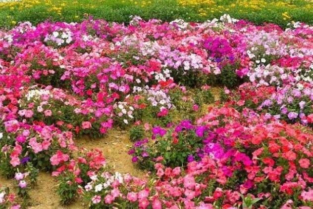 测试一生几次婚姻，测试你一生会有几段婚姻