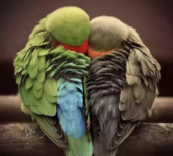 八字看男命有长期情人，与年长男人有缘的八字