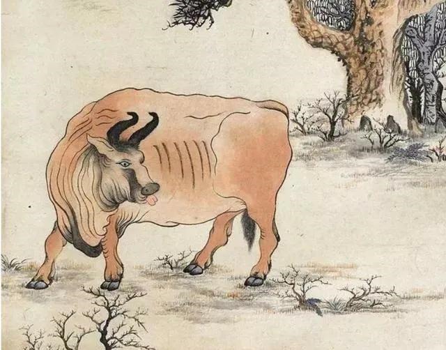 属牛和属马的婚姻如何,属马和属牛的婚姻